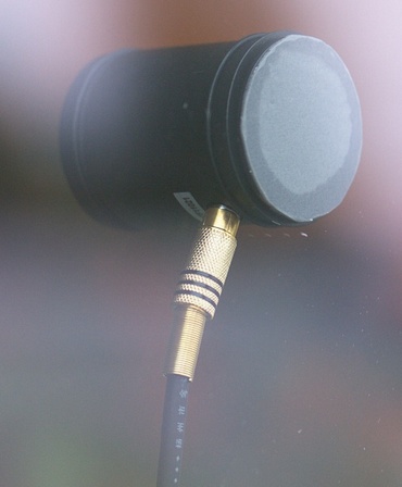 ESARC SAI 30
